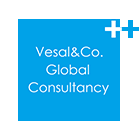 Vesal&Co. Global Consultancy
